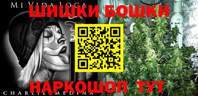 крисы Татарск