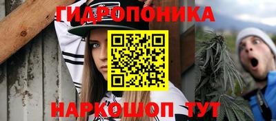 крисы Татарск