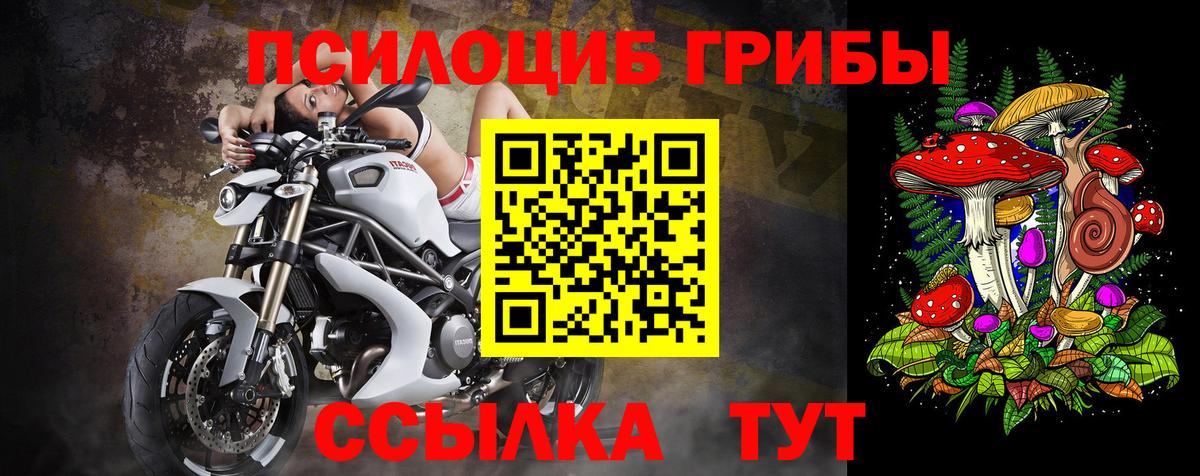 Псилоцибиновые грибы GOLDEN TEACHER  Галлюциногенные грибы MAGIC MUSHROOMS  Аша  Вход с VPN 