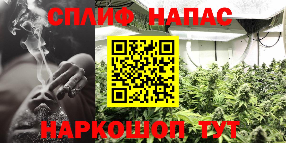 Каннабис гибрид Аша